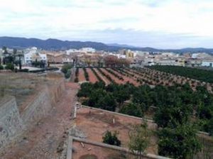 BENIFAIRO1_red (Copy)