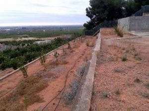 BENIFAIRO2_red (Copy)